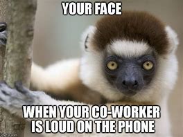 Image result for Talking On Phone at Work Meme