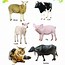 Image result for Kids Books About Animals