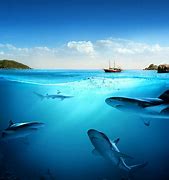 Image result for 2560X1440 Underwater Wallpaper