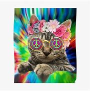 Image result for Stoned Hippy Cat Meme