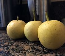 Image result for Little Apple