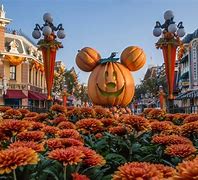 Image result for Disney Parks Halloween