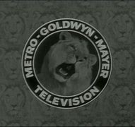 Image result for MGM Worldwide Television Logo