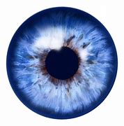 Image result for Iris Eye Cartoon