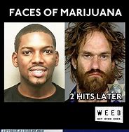 Image result for Weed Before and After Meme