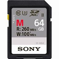 Image result for Sont 64GB