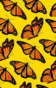 Image result for Cute Stitch Butterfly