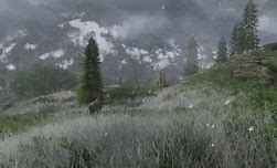 Image result for Scenery ENB