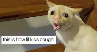 Image result for How Little Kids Cough Cat Meme