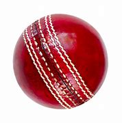 Image result for Cricket Bat Ball