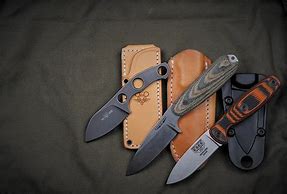 Image result for Small Fixed Blade Knife