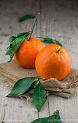 Image result for Orange Photo for Photography