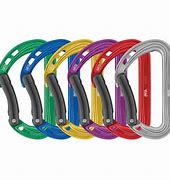 Image result for Petzl Carabiner Assortment