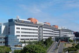 Image result for Best Pediatric Hospital in Tokyo