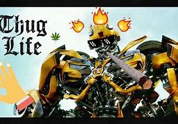 Image result for Bumblebee Meme