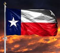 Image result for Texas Flag