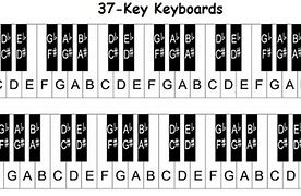 Image result for Piano Keyboard Notes Labeled 37 Keys