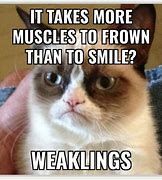 Image result for Grumpy Cat Meme Generator