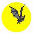 Image result for Crazy Bat Graphic