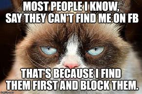 Image result for Grumpy Cat Not Funny