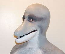 Image result for Human-Dolphin Meme