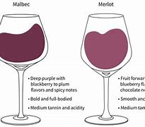Image result for Sainsbury's Merlot Taste the Difference