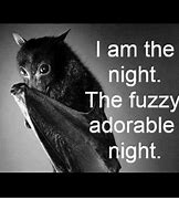Image result for Funny Bat Pictures for Kids