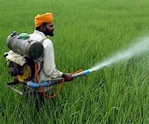 Image result for Biological Pesticide