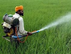 Image result for Organic Plant Pesticides