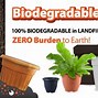 Image result for Biodegradable Flower Pots