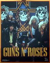Image result for Guns N' Roses Skull CD