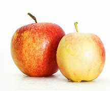 Image result for Two Apples