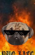 Image result for Meme Dog in Flames