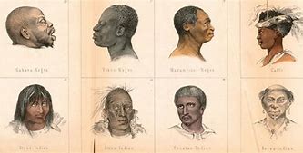 Image result for Race Is a Phenotype
