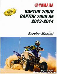 Image result for Raptor 300 Manual PDF