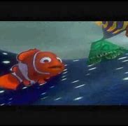 Image result for Finding Nemo Anemone Meme