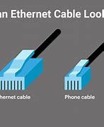 Image result for Cat Ethernet Cable