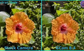 Image result for iPhone Two Cameras