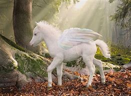 Image result for Unicorn Baby Mythical Creatures
