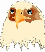 Image result for Hunting Eagle Drawing