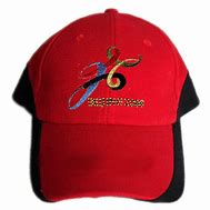 Image result for College Baseball Hats