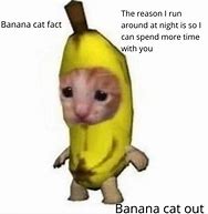 Image result for Banana Cat Text Meme
