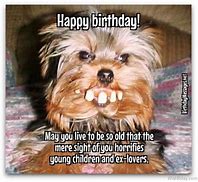 Image result for Funny Happy Birthday Pictures for Men