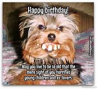 Image result for Funny Various Happy Birthday Wishes