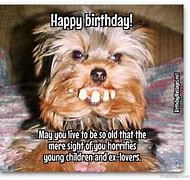 Image result for Funny and Nice Birthday Wishes