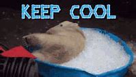 Image result for Stay-Cool Meme