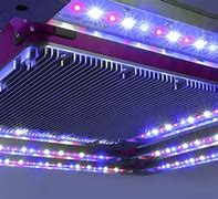 Image result for Commercial LED Grow Lights