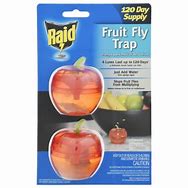 Image result for Apple Maggot Fly Traps