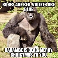 Image result for Harambe Christmas Meme