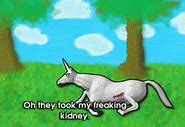 Image result for Charlie the Unicorn Kidney